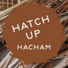 hatch_up_hacham
